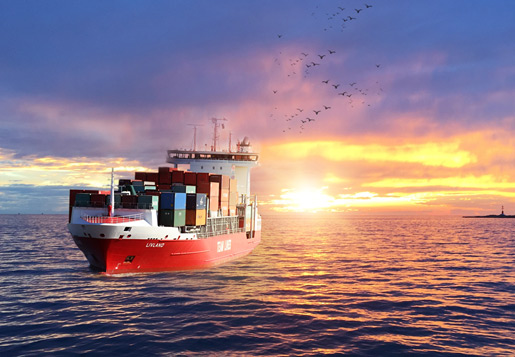 International Chamber of Shipping